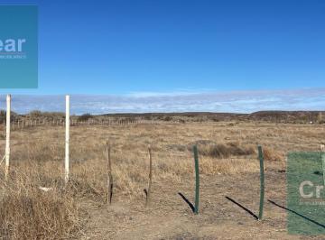 Campo · 10000m² · Campo en Añelo