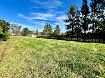 Terreno · 1000m² · Hermoso Terreno!.