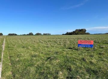 Campo · 86557m² · Campo de 8ha en Mar Chiquita