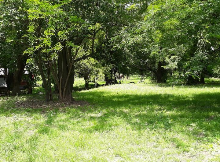 Terreno · 160m²