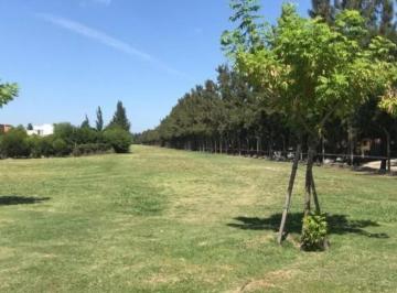 Terreno · 995m² · Excelente Lote Ennbarrio San Benito Villanueva! Oportunidad