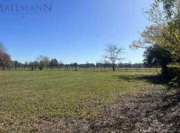 Terreno · 1200m² · Terreno en San Francisco | Mallmann Propiedades