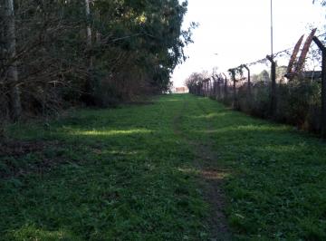 Terreno , Lomas de Zamora · Importante Predio - Venta en Block
