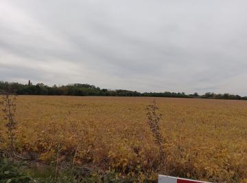 Campo · 80000m² · Chacra en Colonia Estrella