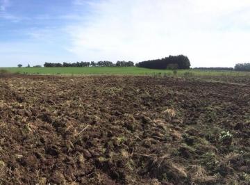Campo · 50000m² · 1 Ambiente · Venta de Campo 5has en La Celina, San Pedro