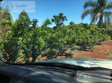 Campo · 320000m² · 5 Ambientes · 1 Cochera · Se Vende Campo Yerba - San Vicente