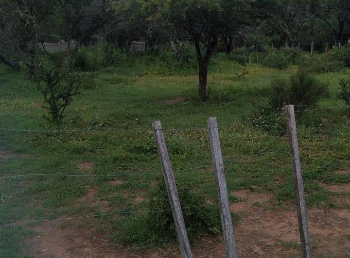Terreno