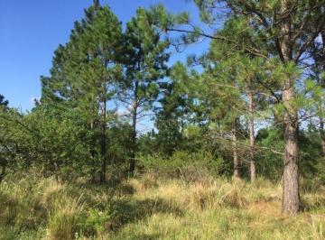 Terreno , Villa General Belgrano · En Venta Fracción en Athos Pampa - Tlc0369