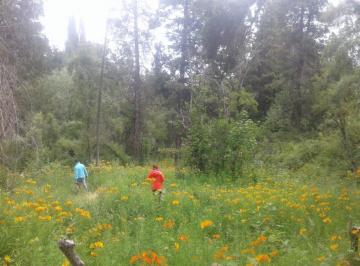 Terreno · 5000m² · Terreno en Villa Turismo - El Bolson