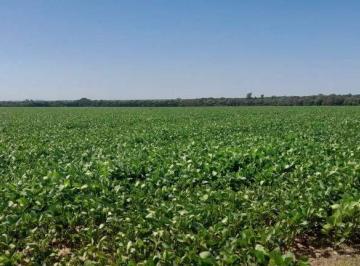 Foto · Venta Campo Agrícola 88 Ha Colnia Tirolesa - Cordoba