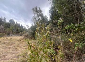 Terreno · 4900m² · Lote Pinar de Festa