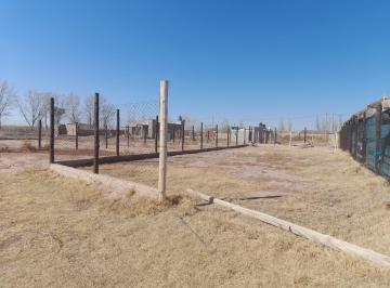 C21-105-983226_2 · Lote. | Los Pinos