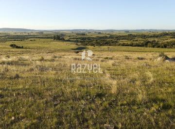 Foto1 · Chacra de 5 Ha