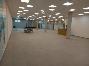 Local comercial , Mar del Plata · Excelente Planta Alta de 500 m Sobre Constitucion
