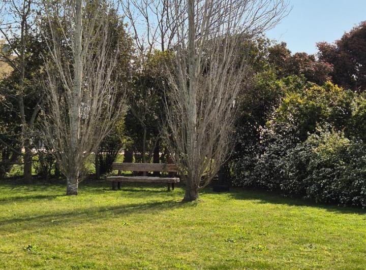 Terreno · 1200m²