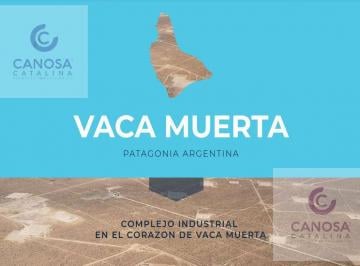Campo · 4000000m² · Campo en Añelo - Vaca Muerta