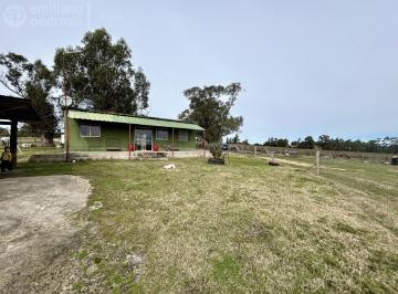 CAMPO · Chacra en Ruta 39 y Ruta 9