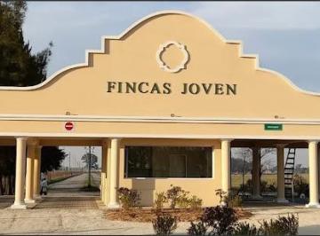 Terreno , San Vicente · Venta de Lote en San Vicente: Fincas Joven