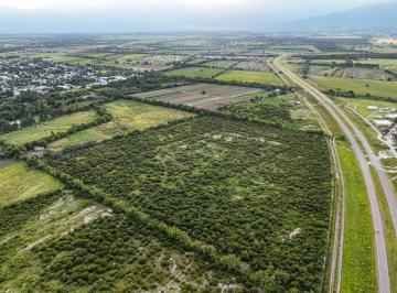 Campo , Cerrillos · Vendo 4.8has en Cerrillos