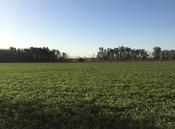 Campo · 1120000m² · Campo en Zarate