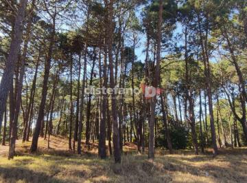 DIT-DT1-6032_2 · Lote. | Av Fragata Libertad