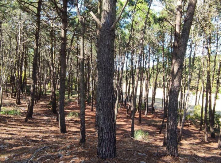 Terreno · 1736m²