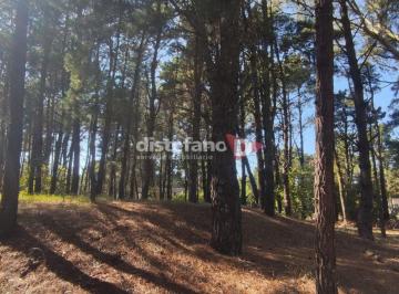 DIT-DT1-6036_2 · Lote. | Cul de Sac Fragata Libertad