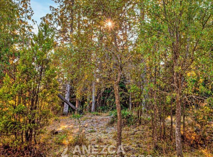 Terreno · 5000m²