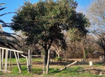 Terreno , Luis Palacios · Terreno de 1800 m² con Forestacion.