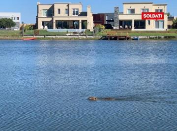 Terreno · 950m² · Excelente Lote en Venta con Vista a La Laguna
