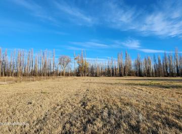 Terreno , Neuquén · Terreno Frente Ruta N°22