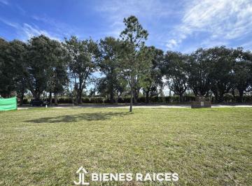 Terreno · 1007m² · Terreno en Venta en El Cardal II, Los Caradales