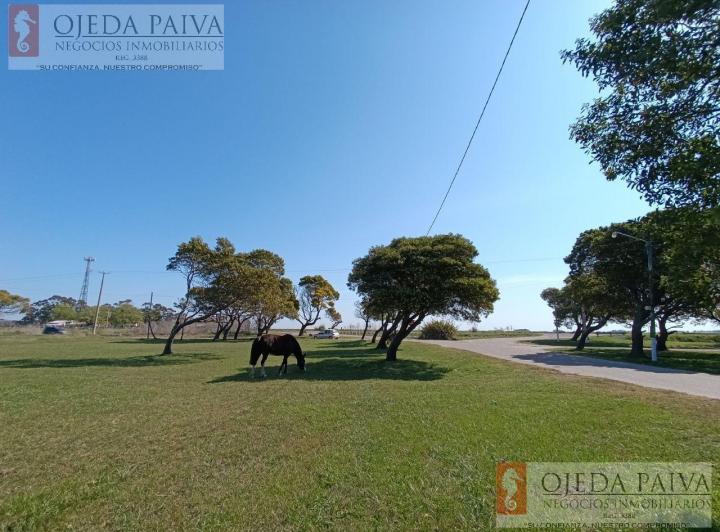 Terreno · 433m²