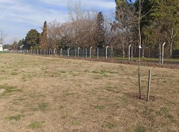 Terreno · 500m² · Ava. Terreno Venta en San Sebastián