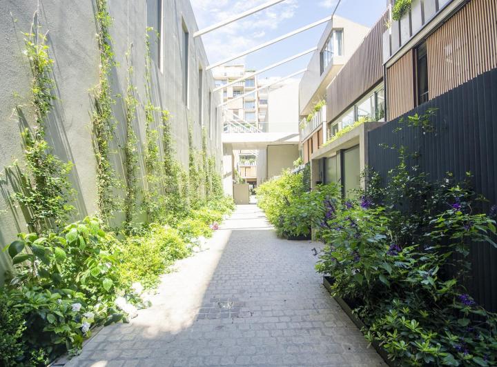 Desarrollo vertical · Alley Recoleta