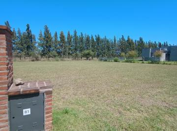 Terreno · 1002m² · Matisse Barrio Privado, Lote 81, 1002 m²