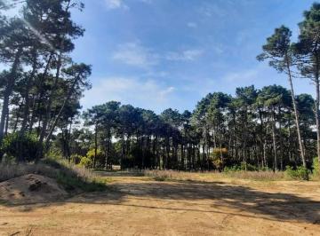 Terreno · 1427m² · Terreno Lote en Venta en Pinamar Norte, Pinamar, Costa Atlántica