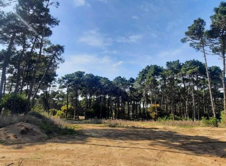 Terreno · 1427m²
