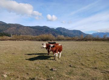 Campo · 80000m² · El Hoyo, Chacra 8 Has, con Arroyo, Usd 380.000 (Antes Usd 450.000)