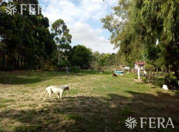 Terreno · 30000m² · 3 Ambientes · Venta Terreno 3 Ha en Sarandi