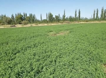 Terreno · 90000ha · Finca en Venta en Rio Atuel