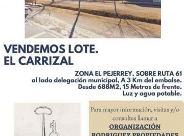 Campo , Luján de Cuyo · Lote en El Carrizal