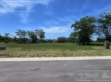 Terreno · 601m² · Excelente Lote en San Juan Chico, Orientación Norte, 601 m² Posesión Inmediata