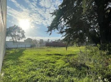 Terreno , Cañuelas · Terreno Comercial en Alejandro Petion Cañuelas