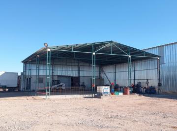 Bodega-Galpón · 7397m² · Galpón con 5.000 m² en Parque Industrial Añelo