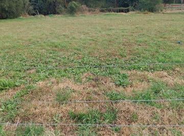 Terreno , Gualeguaychú · Terreno en Gualeguaychú, Sobre Calle "Gutemberg".