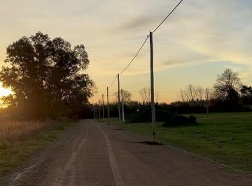 Terreno , Cañuelas · Desarrollo Las Magnolias - 32 Lotes de 300 m² en Cañuelas