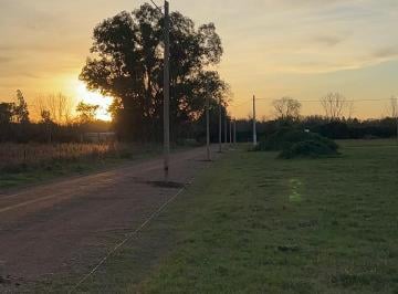 Terreno , Cañuelas · Lotes de 303 m² en Las Magnolias, Cañuelas