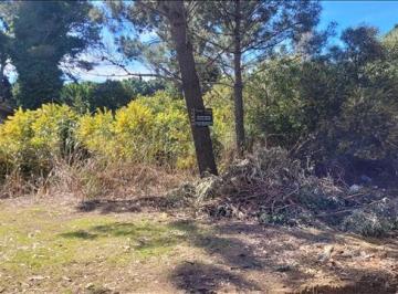 Terreno , Valeria del Mar · Hermoso Lote en El Pinar