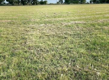 Terreno , Luján · Lote El Espinillo Carlos Keen Lujan